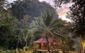 Khaosok Monkeys & River Camps